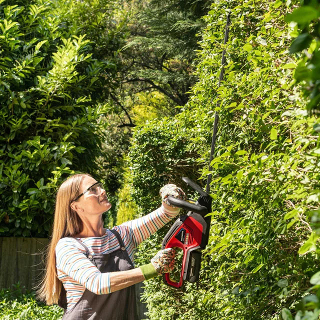 Taille-haies à batterie